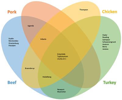 Identifying a list of Salmonella serotypes of concern to target for reducing risk of salmonellosis